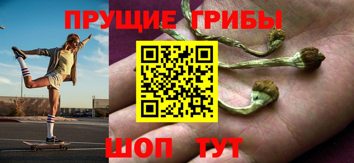 Псилоцибиновые грибы MAGIC MUSHROOMS Гусь-Хрустальный