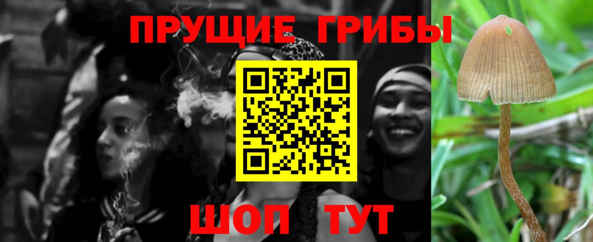 Псилоцибиновые грибы Cubensis  Псилоцибиновые грибы прущие грибы  Гусь-Хрустальный  Вход с VPN 